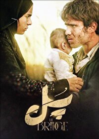 «پل» معلق میان نیزار و وجدان