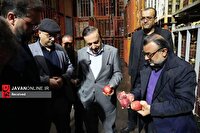 بازدید استاندار قزوین از انبارهای کالاهای استراتژیک و سردخانه‌های میوه تنظیم بازار