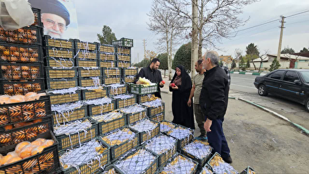 تأمین بیش از ۱۰۰ تن میوه شب عید در ساوجبلاغ