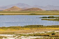 چشم‌انداز روشن ارومیه در بازگشت آب به تالاب‌ها