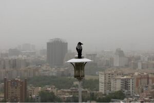هوای تهران آلوده است