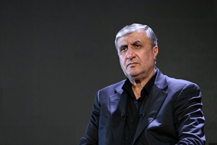 اسلامی: ایران فعالیت پنهانی هسته‌ای نداشته است/ حقوق ملت را خط قرمز مذاکرات قرار دادیم