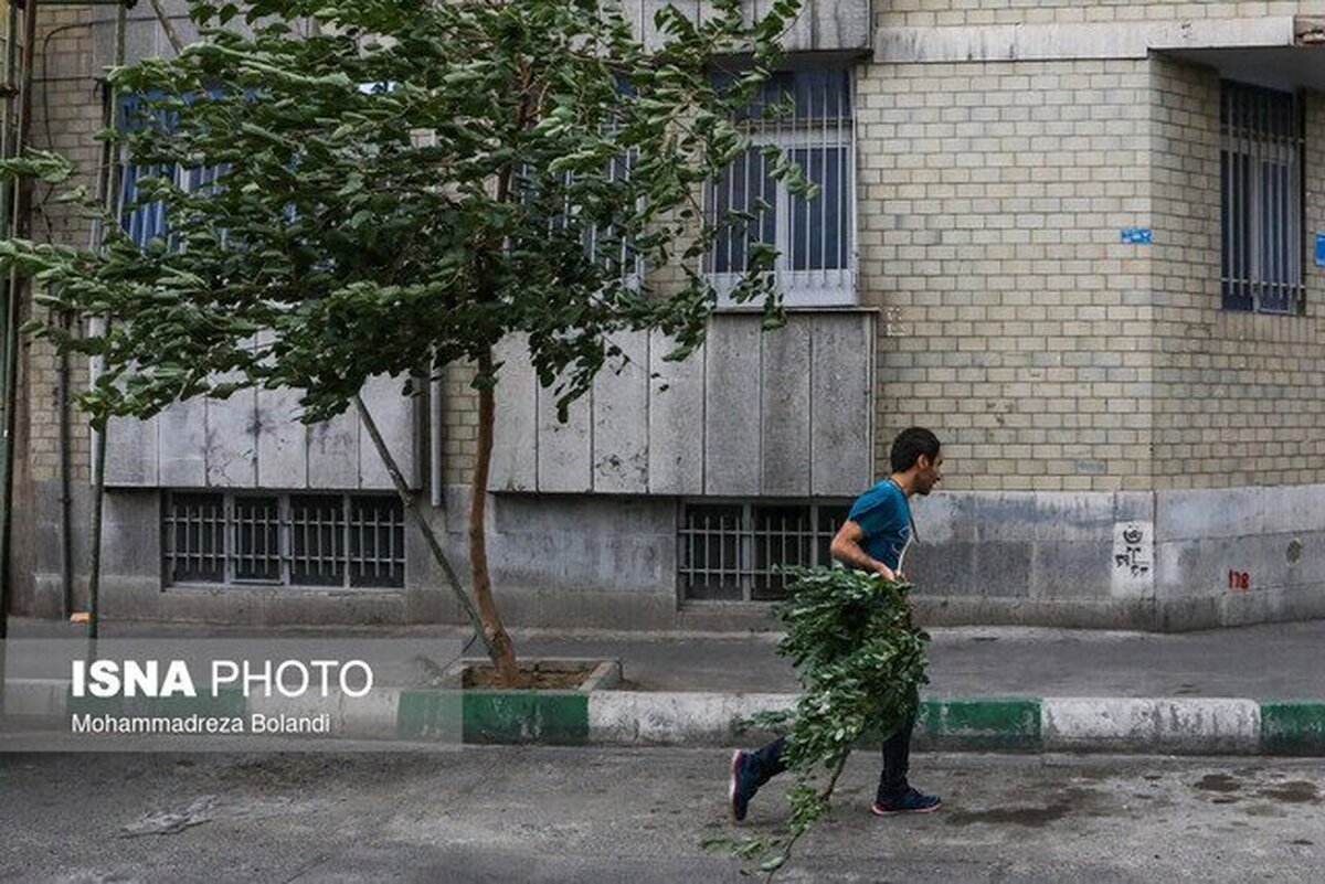 هشدار نسبت به وزش باد شدید در تهران/ امکان رخداد طوفان و گرد و خاک