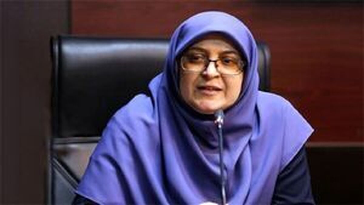 مهاجرانی: اتباع غیر مجاز به کشور مبدا بازگردانده می شوند