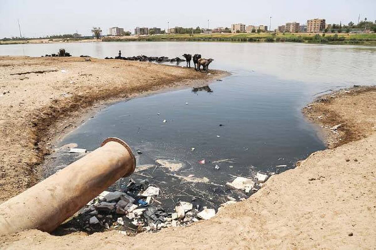رودخانه‌ها غرق در آلاینده‌ها 