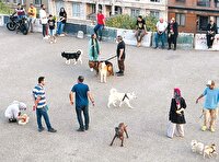 سگ‌گردانی در دنیا محدود، در ایران نامحدود!