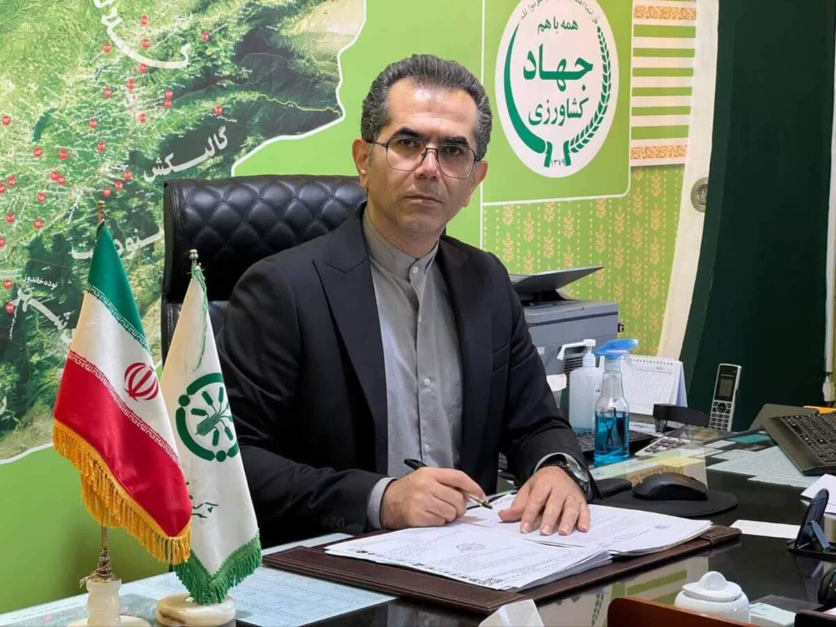 تخصیص کود یارانه ای پایه برای مزارع خشکی ونسق درگلستان