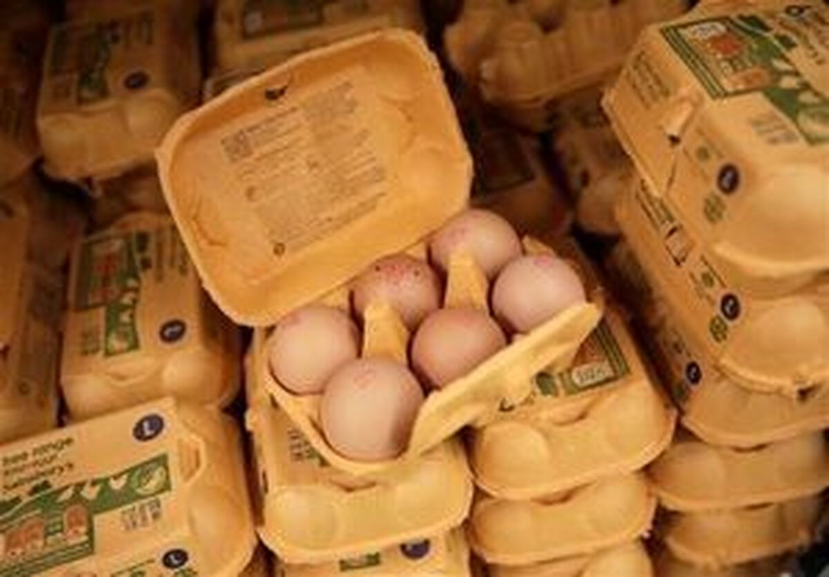 جمع‌آوری حداقل ۱.۷ میلیون تخم‌مرغ آلوده در آمریکا