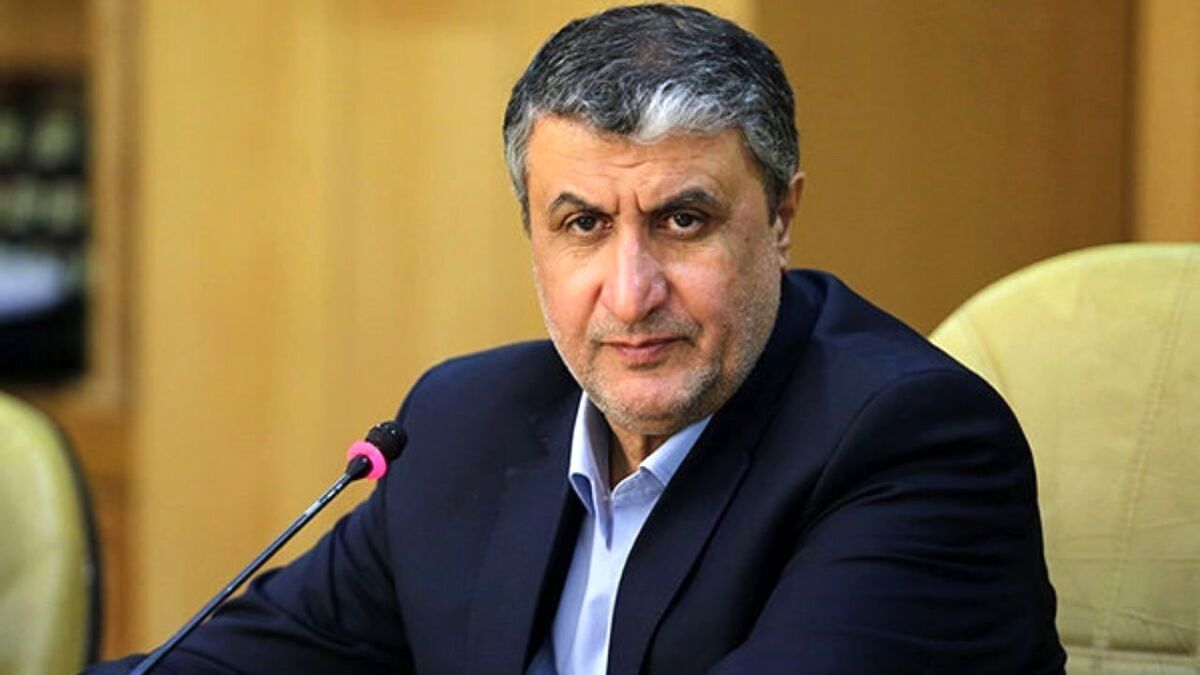 تسلیم فشارهای سیاسی نمی‌شویم