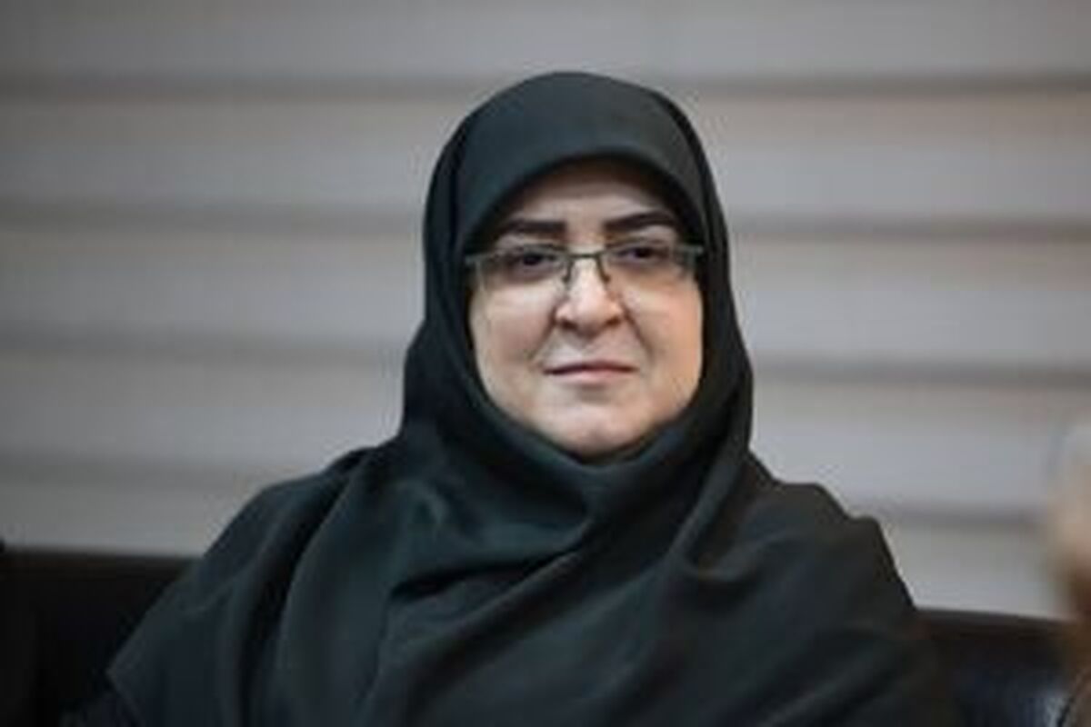 مهاجرانی: دولت متعهد به محافظت از داده‌های شخصی مردم است