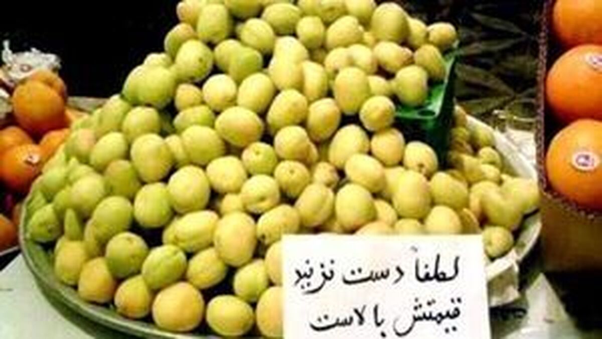 میوه چرا گران شد؟