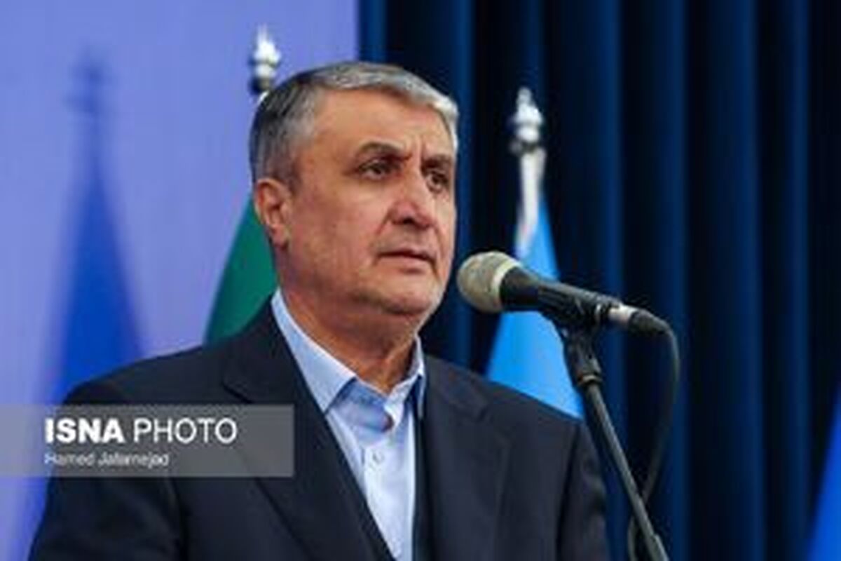 اسلامی: پیشرفت برنامه هسته‌ای ایران دامه خواهد داشت