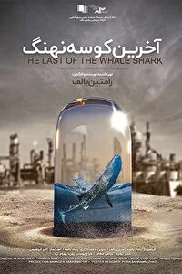 جایزه ویژه هیات داوران جشنواره‌ای در چین برای «آخرین کوسه نهنگ»