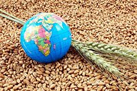 امنیت غذایی، سلاح پنهان قرن جدید