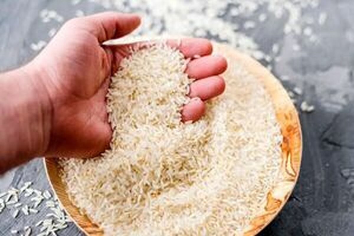 گرانی برنج زیر ذره‌بین نهادهای قضایی