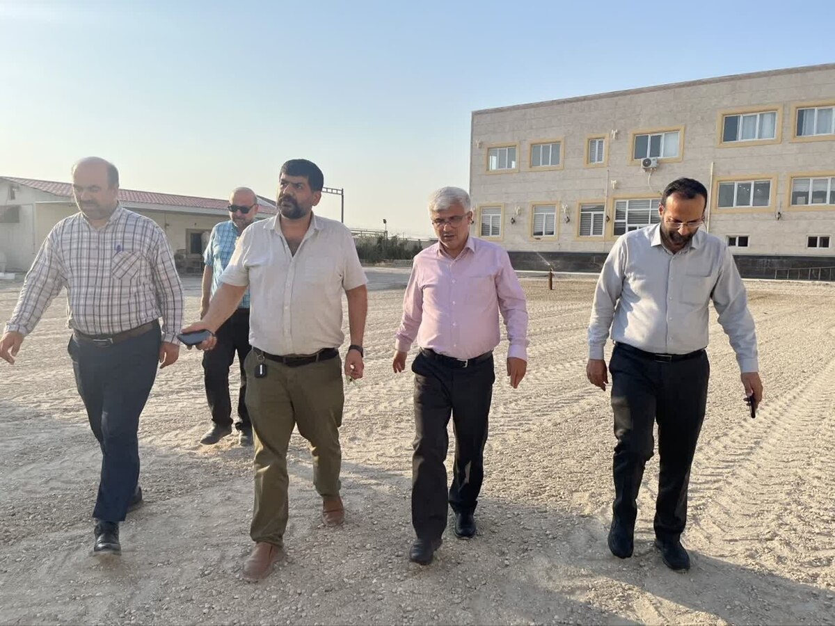 رفع موانع موجود درمسیر فعالیت های کارخانه های آرد درگلستان