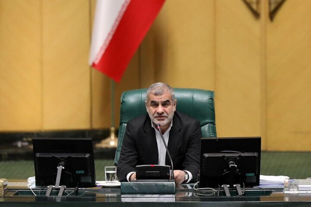 نیکزاد: مجلس در برابر تهدیدات، انقلابی عمل کرد