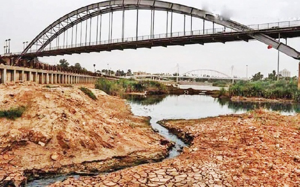 کارون توان برداشت از سرشاخه‌ها را ندارد