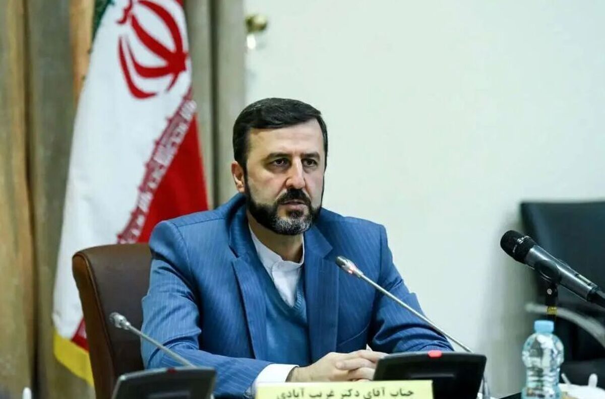 تیم فنی آژانس به ایران خواهد آمد اما از تاسیسات بازدید نمیکند