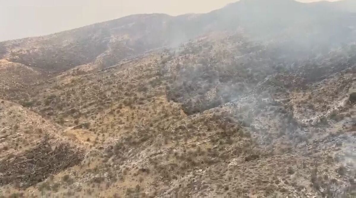 آتش‌سوزی در ارتفاعات دشتستان مهار شد