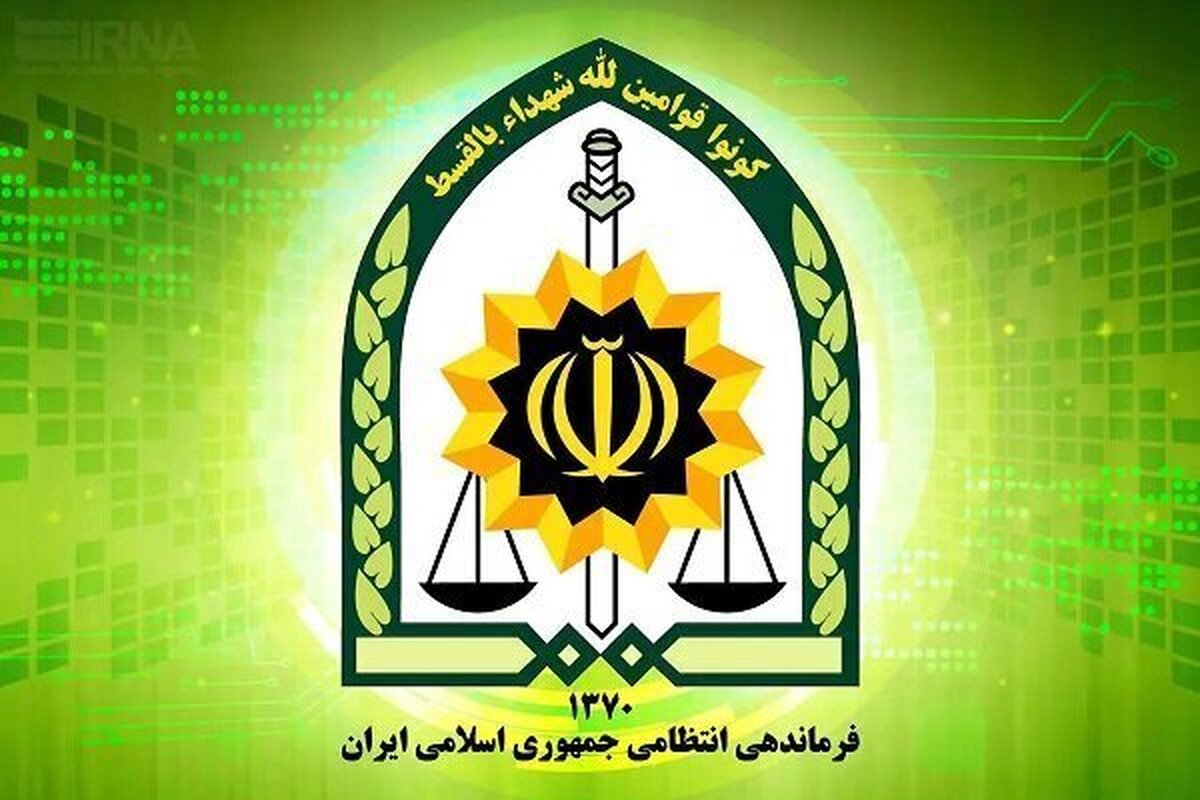 دستگیری سارق ۴۰ میلیون تومانی کارت‌های اعتباری و بانکی در شهریار