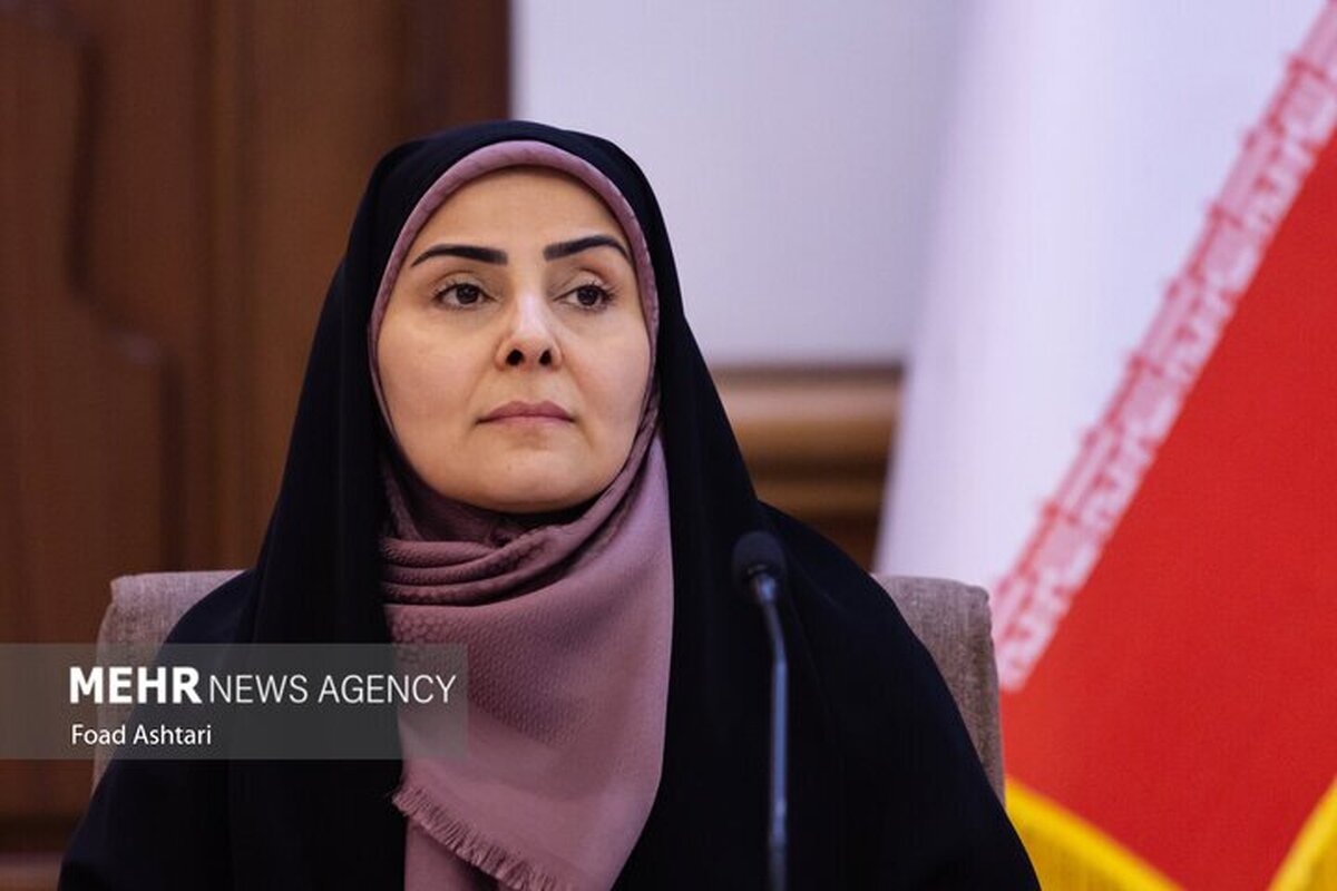 صادق: پروازهای اربعین در صورت صدور مجوز از عراق بیشتر می‌شود