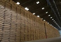انتقاد از ارائه آمار اشتباه در بازار برنج