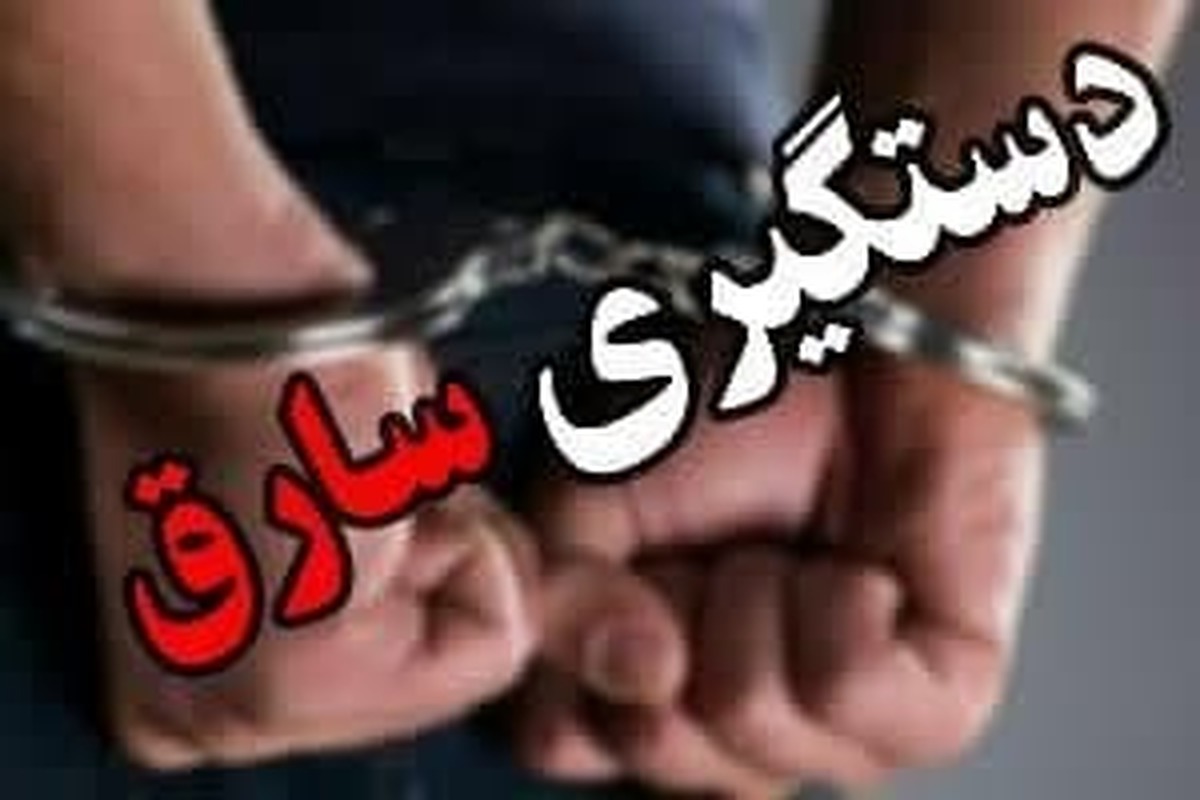 دستگيري سارق و کشف 25 فقره سرقت قطعات و محتويات خودرو در اراک 