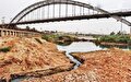 کارون توان برداشت از سرشاخه‌ها را ندارد