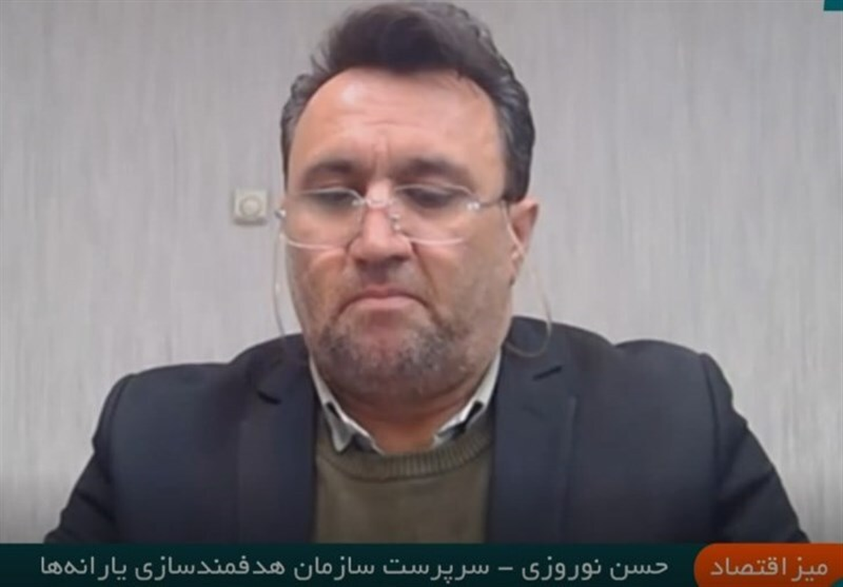 حذف یارانه ۳ دهک تا پایان سال قطعی شد/ روش خوداظهاری شکست خورد