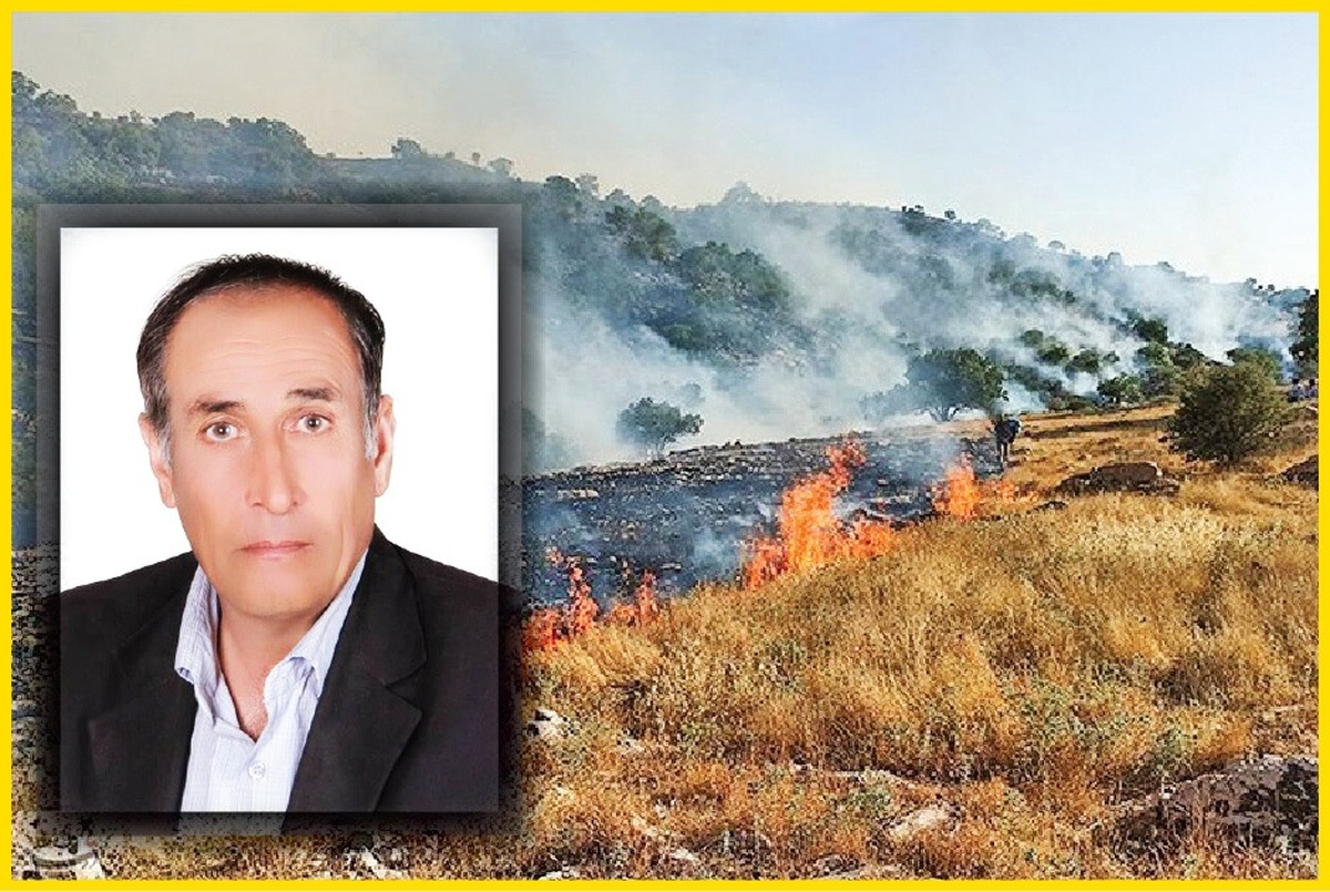 «کاووس» جان داد تا جنگل بماند