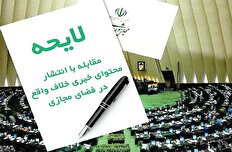 تقویت لایحه دولت را جایگزین تخریب آن کنید