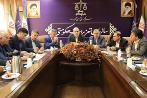 آغاز طرح ویژه برخورد با تخلفات نانوایی‌ها