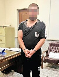 آخرین جزئیات قتل در خیابان دماوند 