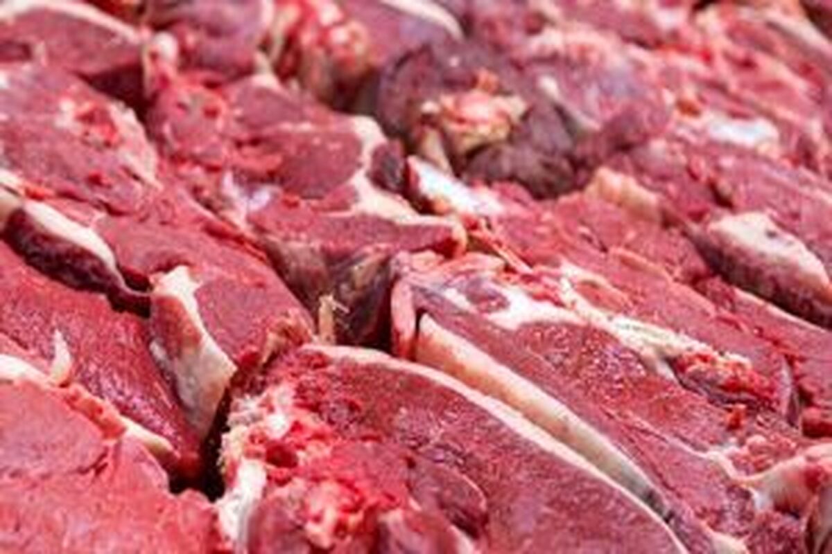 واقعیت بازار گوشت؛ ثباتی در کار نیست