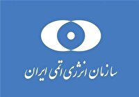 تهران به ان‌پی‌تی و موافقت‌نامه پادمان متعهد است/ آژانس تسلیم فشار‌های سیاسی نشود