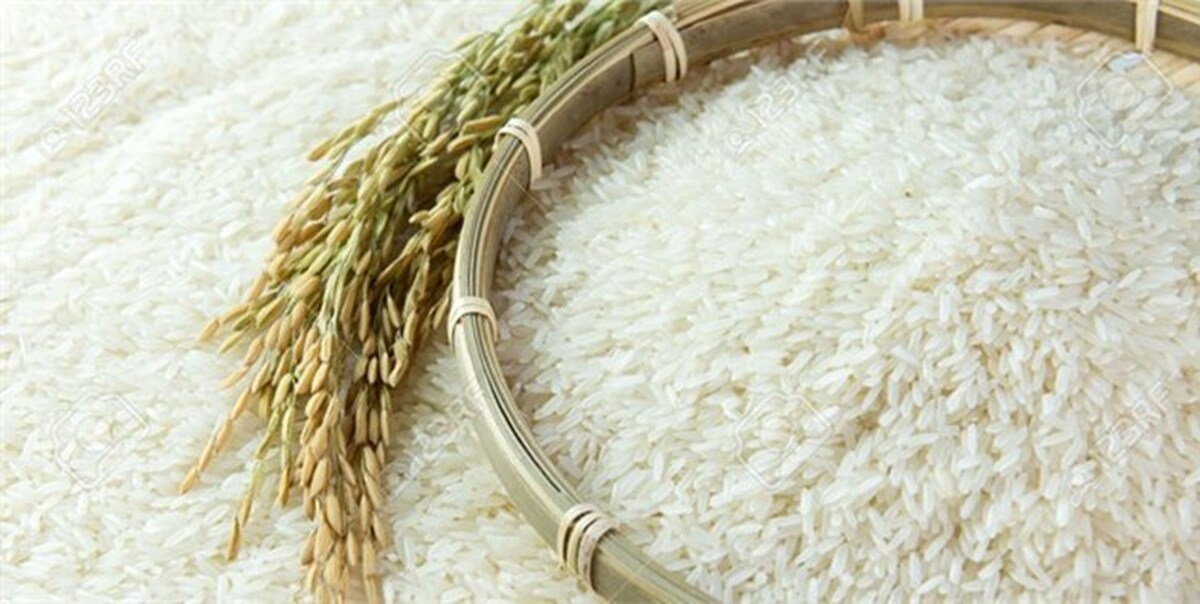 قیمت برنج و گندم در بازار جهانی
