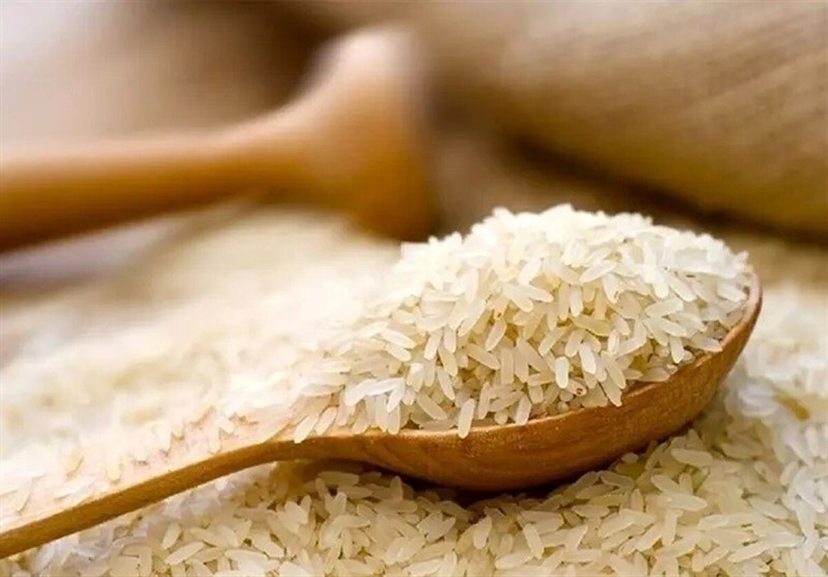 توزیع ۱۵۰ هزار تن برنج هندی و پاکستانی در بازار با قیمت مصوب