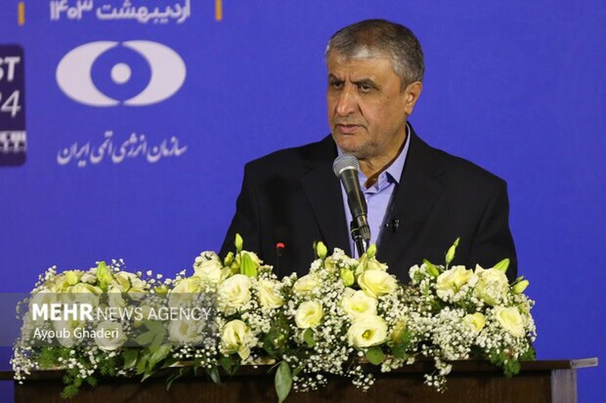 رئیس سازمان انرژی اتمی عازم وین شد