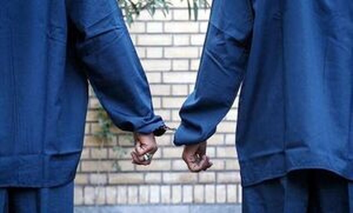 دستگیری ۲ کلاهبردار شبکه هرمی با ۱۸ میلیارد تومان کلاهبرداری