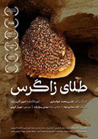 «طلای زاگرس»؛ درخشش مستند ایرانی در جشنواره‌های بین‌المللی