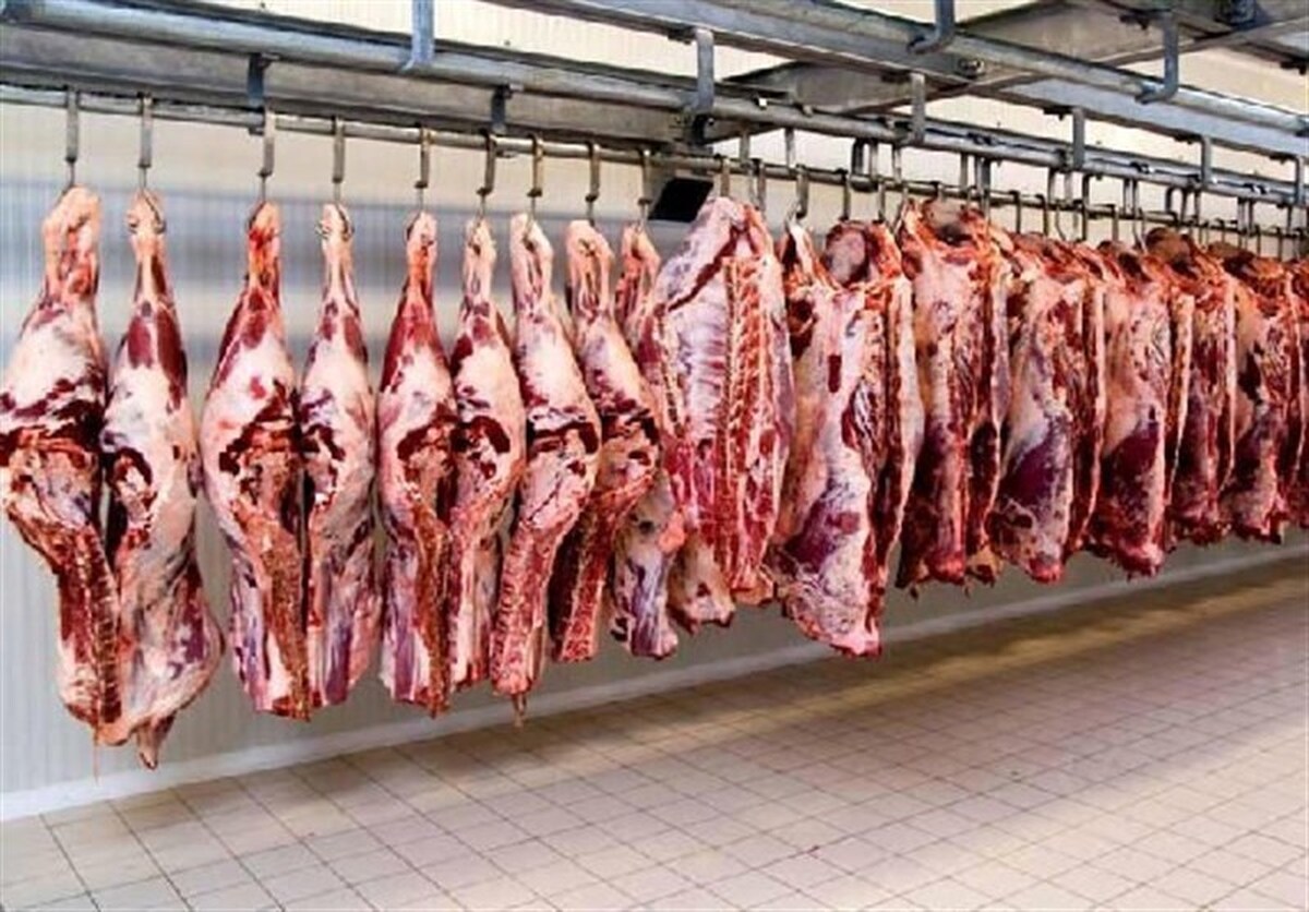 تنظیم بازار با واردات ۱۰ درصد گوشت مورد نیاز کشور شدنی است