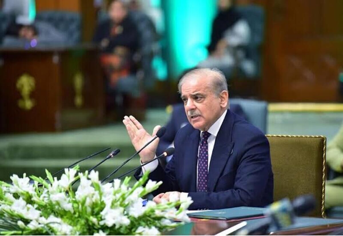 نخست‌وزیر پاکستان: عضویت اسرائیل متجاوز از سازمان ملل باید لغو شود