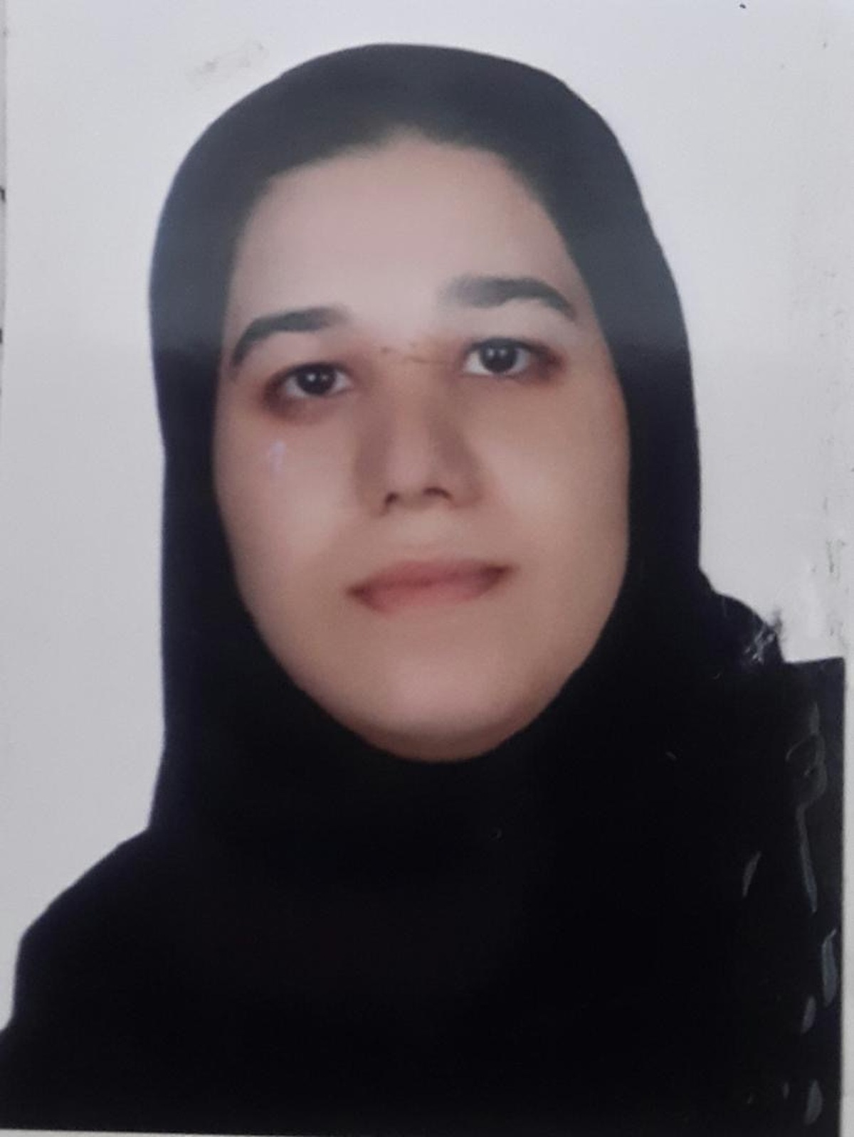 تولید آثار علمی و پژوهشی به زبان فارسی موجب پویایی و ماندگاری آن می‌شود