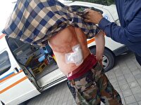 حمله با سلاح سرد به جنگلبان رودباری / ضارب تحت تعقیب است