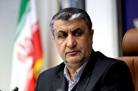 ازسرگیری بازرسی‌ها مشروط به اتخاذ «تدابیر ویژه» است