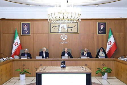 مسیر رفع ناترازی‌های انرژی با اراده جدی مسئولان قطعا به نتیجه می‌رسد