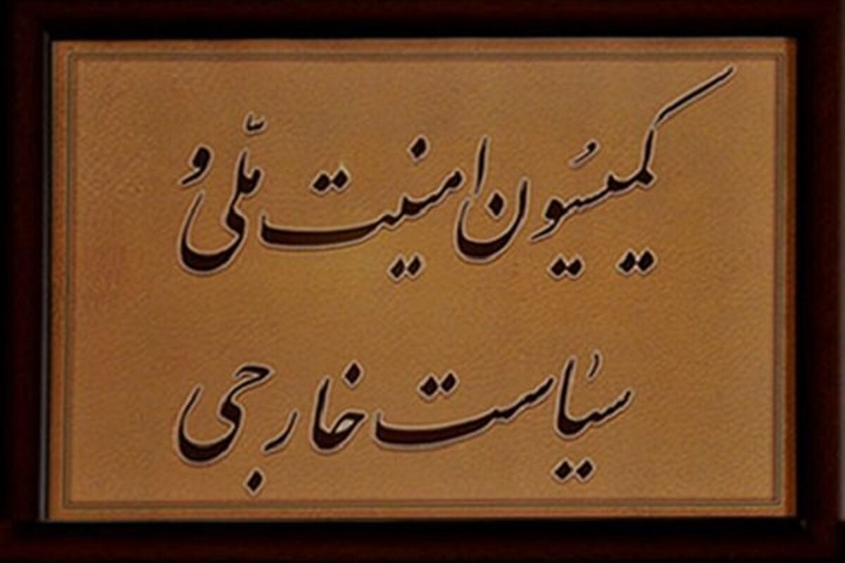 وزارت خارجه و سازمان انرژی اتمی به قانون مجلس پایبند باشند