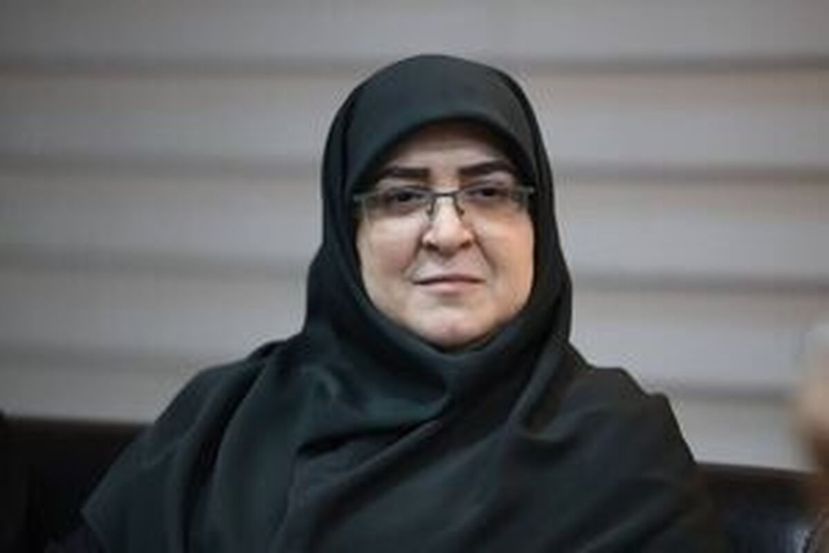 مهاجرانی: تاکنون بیش از ۲۵۰ هزار ماینر غیرقانونی کشف شده است