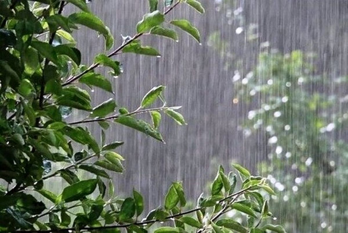 بارش باران در نوار شمالی و رگبار‌های رعد و برق در جنوب کشور